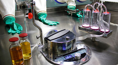 �ŵ�88��(�й���)���޹�˾����