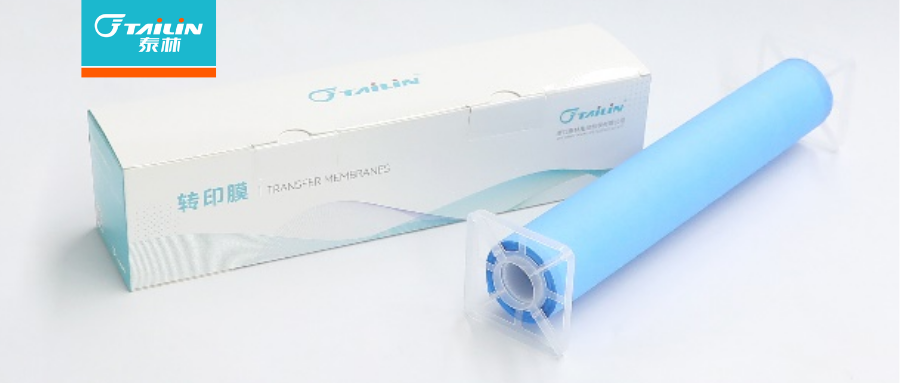 �ŵ�88��(�й���)���޹�˾����