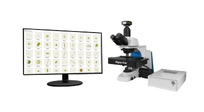 �ŵ�88��(�й���)���޹�˾����